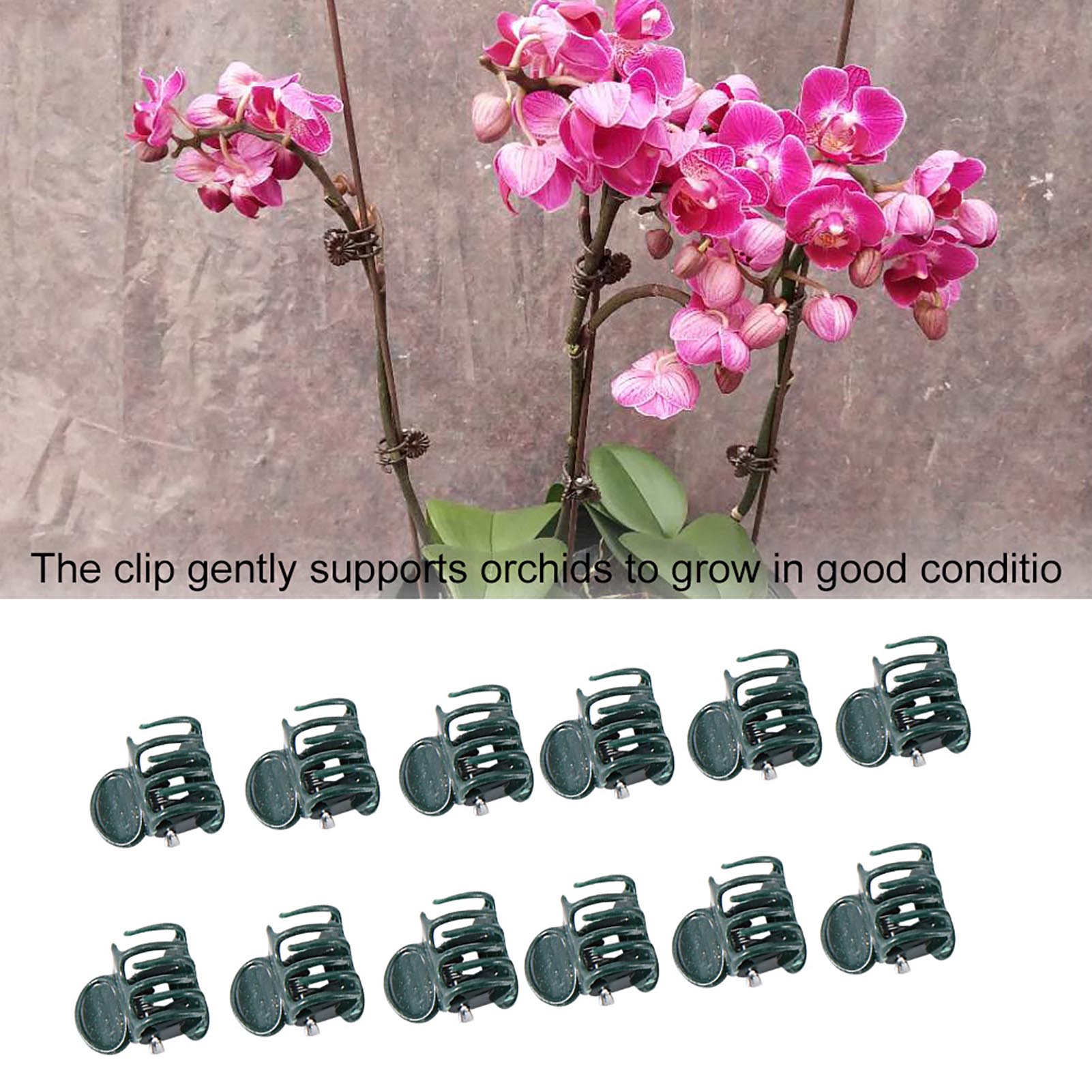 100 szt. Mini klipsy do roślin – Florist Supply Bulk recenzja i cena